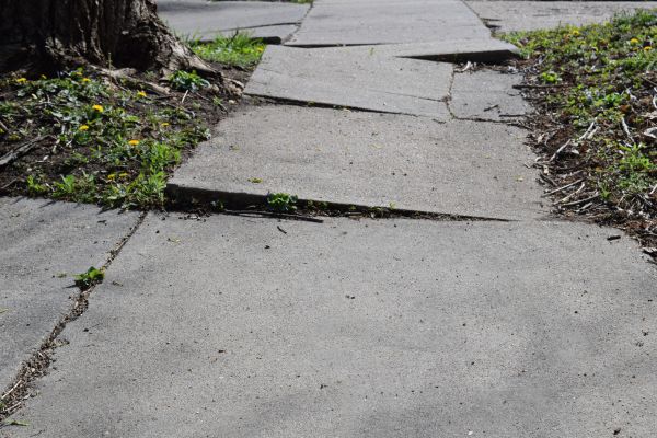 Cost of Trip Hazard Removal in Bossier City